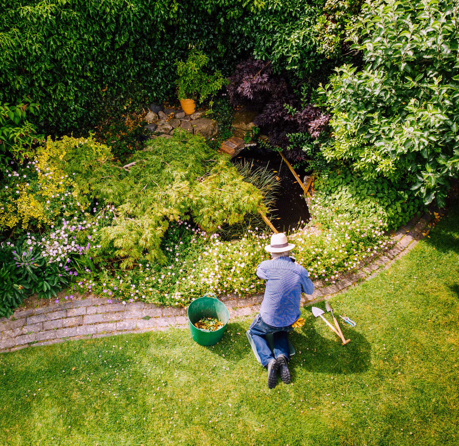 Gardener tending plants near a pond