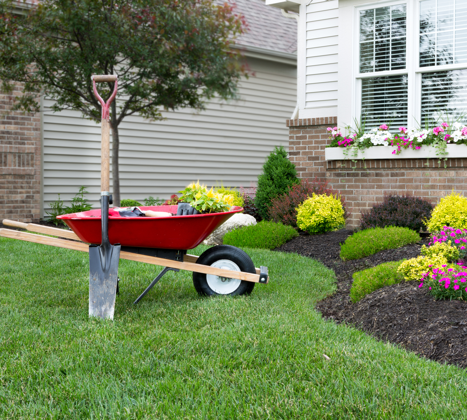 Garden tools on grass near flower bed